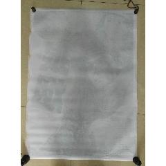 威斯康星大学狐谷分校Diploma